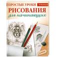 russische bücher: Мазовецкая В В - Простые уроки рисования для начинающих