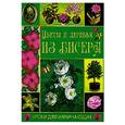 russische bücher: Шнуровозова Т.В. - Цветы и деревья из бисера. Уроки для начинающих