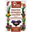 russische bücher:  - Фиалки, орхидеи, азалии и другие красивоцветущие комнатные растения