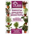 russische bücher:  - Фикусы, драцены, монстеры и другие декоративно-лиственные комнатные растения
