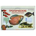 russische bücher: Джина Сендфорд - Тропические аквариумные рыбки