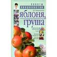 russische bücher: Капичникова Н. Г. - Яблоня и груша