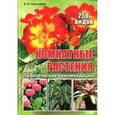 russische bücher: Сергиенко Е. Н. - Комнатные растения. 250 видов. Практические рекомендации