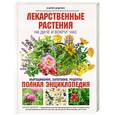 russische bücher: Андрей Цицилин - Лекарственные растения на даче и вокруг нас
