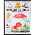 russische bücher: Филиппова И. - Лечебные грибы. Фунготерапия