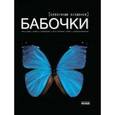 russische bücher: Шейкина Е. - Бабочки-сказочные создания