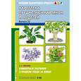 russische bücher: Ковалева Е.С. - Комнатные растения и модели ухода за ними