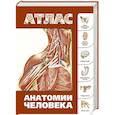 russische bücher: Лёвкин С.С. - Атлас анатомии человека