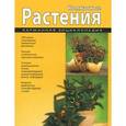russische bücher:  - Комнатные растения