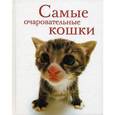 russische bücher:  - Самые очаровательные кошки