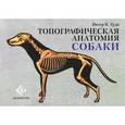 russische bücher: Гуди Питер К. - Топографическая анатомия собаки