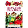 russische bücher:  - Дикорастущие плоды и ягоды