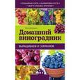 russische bücher: Анна Кузнецова - Домашний виноградник