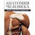 russische bücher: Абрахамс П. - Анатомия человека
