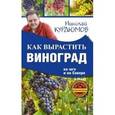 russische bücher: Курдюмов Н.И. - Как вырастить виноград на Юге и на Севере