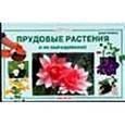 russische bücher: Ламберт Дерек - Прудовые растения и их выращивание