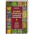 russische bücher: Матвей Волгин - Большой справочник народной медицины. 3000 рецептов из более 300 лекарственных растений