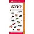 russische bücher: Михаил Куценко - Жуки. Мир удивительных насекомых