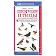 russische bücher: Михаил Куценко - Певчие птицы. Обитатели лесов и полей