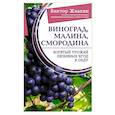 russische bücher: Жвакин В.В. - Виноград, малина, смородина. Богатый урожай любимых ягод в саду