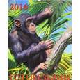 :  - Календарь настенный на 2016 год "Год обезьяны"