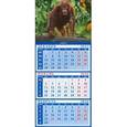 :  - Календарь квартальный на магните 2016. Год обезьяны. Малыш орангутанг (34620)