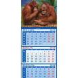 :  - Календарь квартальный на магните 2016. Год обезьяны. Забавные орангутанги (34621)