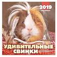 :  - Календарь перекидной на 2019 год. «Удивительные свинки»
