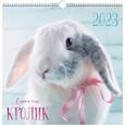 russische bücher:  - Календарь настенный перекидной на 2023 год. Символ года 3