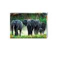 :  - Африканские слоны (пазлы 500 элементов)
