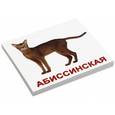 russische bücher: Носова Т. Е. - Комплект карточек мини "Породы кошек"