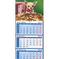 russische bücher:  - 2018 Календарь "Год собаки. Щенок чихуахуа" (34817)