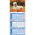 russische bücher:  - Календарь квартальный на магните на 2018 год "Год собаки. Лабрадор"