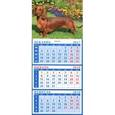 russische bücher:  - Календарь квартальный на магните на 2018 год "Год собаки. Такса в саду"