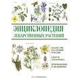 russische bücher: Анищенко Л.В. - Энциклопедия лекарственных растений