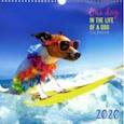 :  - Календарь настенный на 2020 год "Домашние любимцы. Каникулы" (КПКС2006)