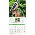 :  - Календарь на 2021 год "Календарь природы"