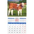 :  - Календарь магнитный на 2021 год "Год быка. Симпатичный теленок" (20124)