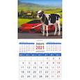 :  - Календарь магнитный на 2021 год "Год быка. Мечты сбываются" (20125)