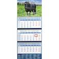 :  - Календарь квартальный на 2021 год "Год быка. Черный красавец" (14112)