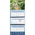 :  - Календарь квартальный на 2021 год "Дятел в лесу" (14140)