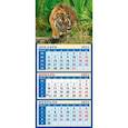 :  - Календарь квартальный на магните на 2022 год "Год тигра. Настоящий хозяин джунглей" (34209)