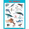 russische bücher:  - Морские обитатели. Плакаты "Sea Animals"
