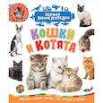 russische bücher: Гальцева С. - Кошки и котята. Первая энциклопедия