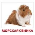 russische bücher: Доман Г. - Домашние животные