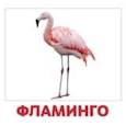 russische bücher: Доман Г. - Комплект карточек "Птицы"