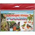russische bücher:  - Зимующие птицы России