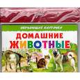 russische bücher:  - Домашние животные
