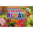 russische bücher:  - Садовые ягоды. Обучающие карточки