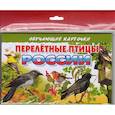 russische bücher:  - Перелетные птицы России